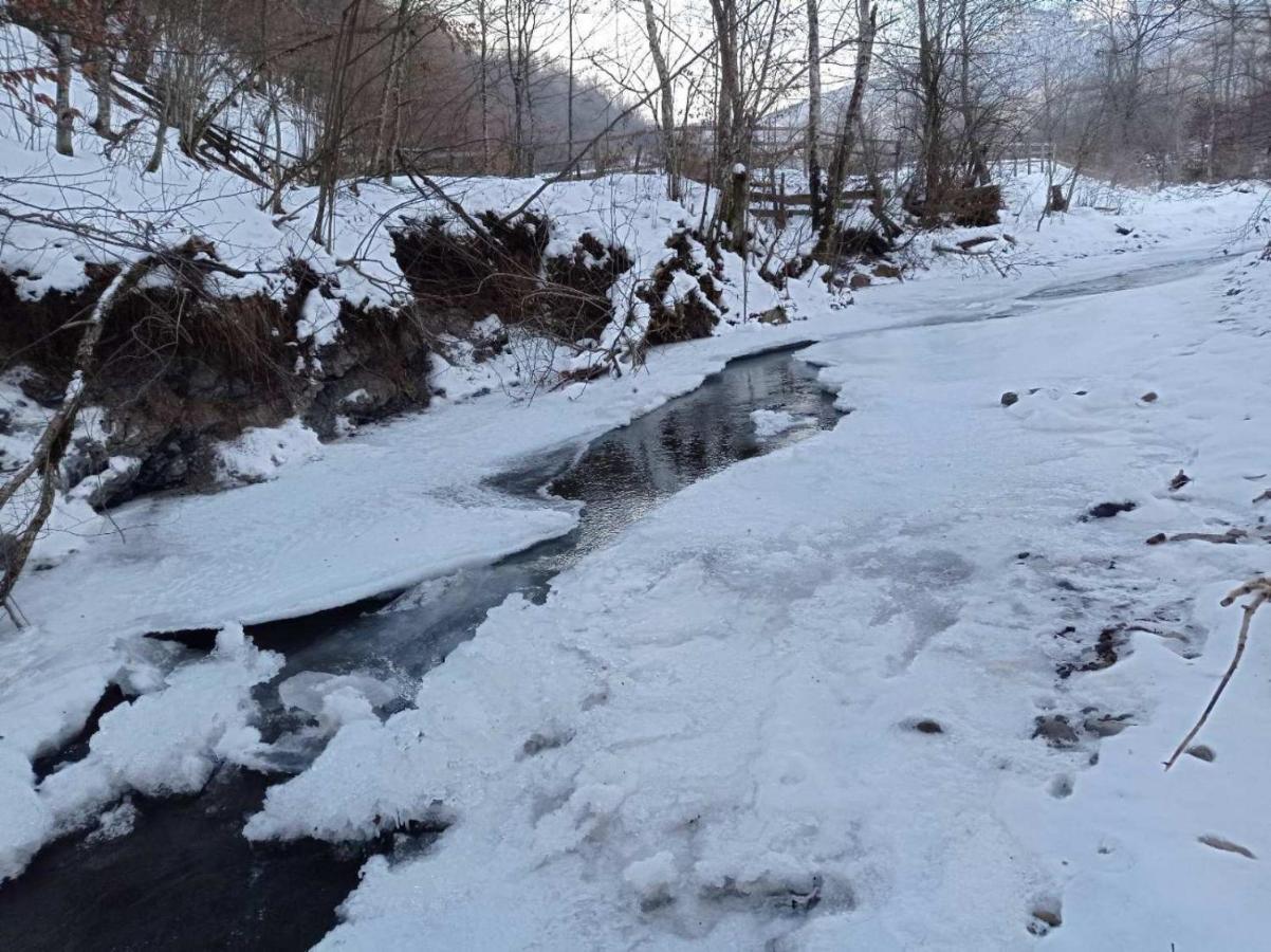 Vikendica Nole Jahorina Villa Pale Eksteriør billede