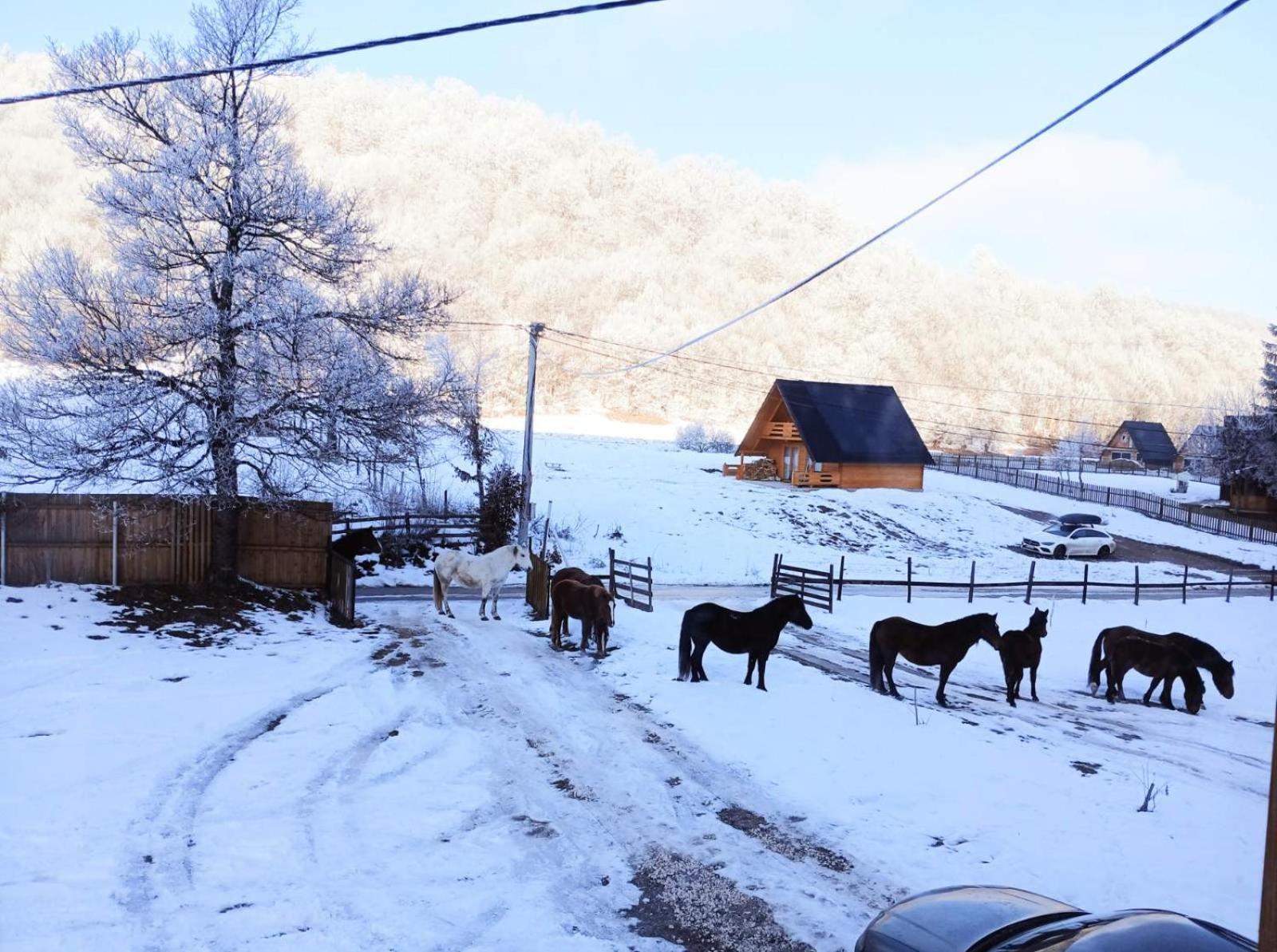Vikendica Nole Jahorina Villa Pale Eksteriør billede